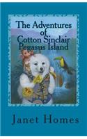 Adventures of Cotton Sinclair Pegasus Island
