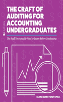 Craft of Auditing for Accounting Undergraduates