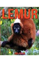 Lemur: Children Book of Fun Facts & Amazing Photos on Animals in Nature - A Wonderful Lemur Book for Kids aged 3-7