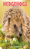 Hedgehogs 2022 Mini Wall Calendar