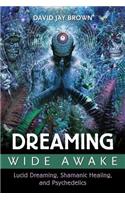Dreaming Wide Awake