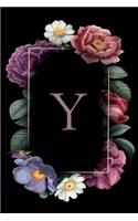 Y