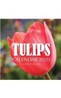 Tulips Calendar 2020: 16 Month Calendar