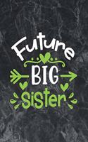 Future Big Sister: The best week by week pregnancy journal notebook