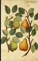 Journal