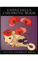 Chinchilla Coloring Book