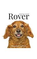 Rover: Wagmore Edition
