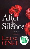 After the Silence: The An Post Irish Crime Novel of the Year (Planet Omar)