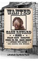 Labradoodle Dog Wanted Poster: Isometric Dot Drawing Paper Notebook Featuring 120 Pages 6x9