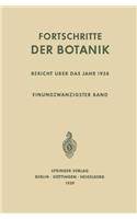 Bericht Uber Das Jahr 1958