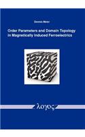 Order Parameters and Domain Topology in Magnetically Induced Ferroelectrics