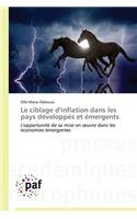 Le Ciblage d'Inflation Dans Les Pays Développés Et Émergents