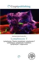 Lymphocyte T: (French)