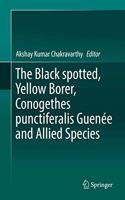 Black Spotted, Yellow Borer, Conogethes Punctiferalis Guenée and Allied Species