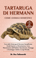 Tartaruga Di Hermann Come Animale Domestico