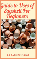 Guide to Uses of Eggshell For Beginners