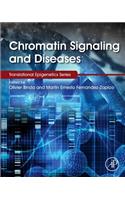 Chromatin Signaling and Diseases