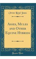 Asses, Mules and Other Equine Hybrids (Classic Reprint)