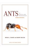 Ants of Africa and Madagascar