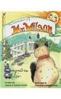 Adventures of Mr Wilson