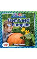 From Seed to Pumpkin