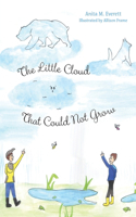 The Little Cloud That Could Not Grow