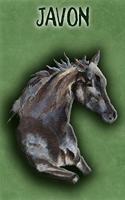 Watercolor Mustang Javon