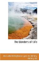 Wonders of Life