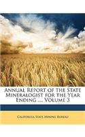 Annual Report of the State Mineralogist for the Year Ending ..., Volume 3