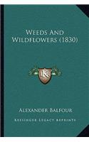 Weeds And Wildflowers (1830)