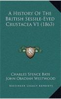 A History Of The British Sessile-Eyed Crustacea V1 (1863)