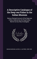 Descriptive Catalogue of the Deep-sea Fishes in the Indian Museum