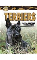 Terriers: Loyal Hunting Companions