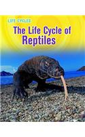 Life Cycle of Reptiles
