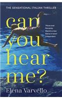 Can you hear me?