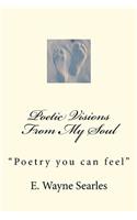 Poetic Visions From My Soul
