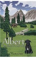 Albert, The Story of a Lost Dog: (English)