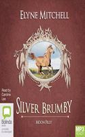 Moon Filly: (5 Silver Brumby)
