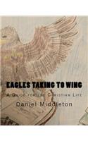 Eagles Taking to WIng