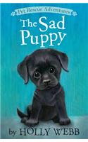 The Sad Puppy: (Pet Rescue Adventures)