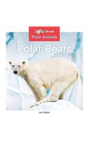 Polar Bears