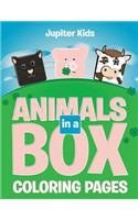 Animals in a Box (Coloring Pages)