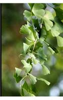 Green Gingko Leaves Journal