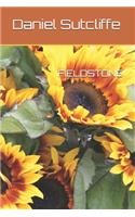 Fieldstone