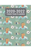 2020-2022 Three Year Planner