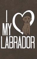 Labrador: Journal, Notebook, Diary or Sketchbook with Lined Paper