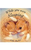 While You Were Sleeping