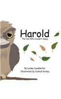 Harold, the Owl Who Couldn't Sleep
