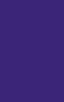 Purple 190 - Graph Notebook: Medium Ruled, Soft Cover, 6 x 9 Journal, 190 Pages