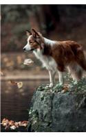 Border Collie August Notebook & Journal. Productivity Work Planner & Idea Notepad